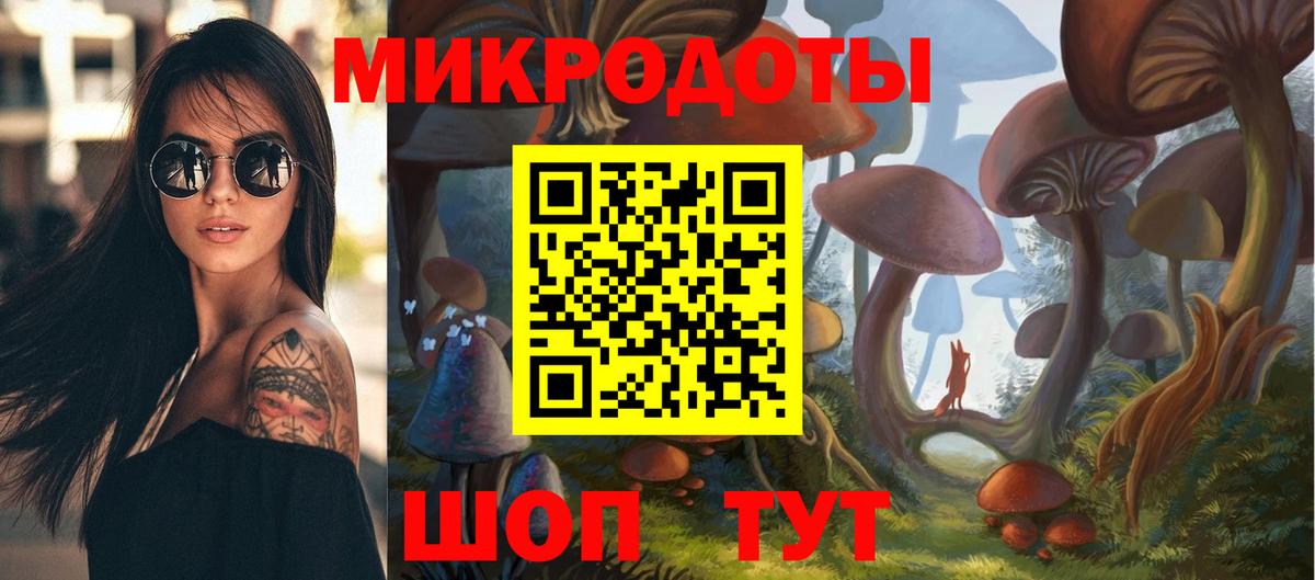 Галлюциногенные грибы прущие грибы Саяногорск